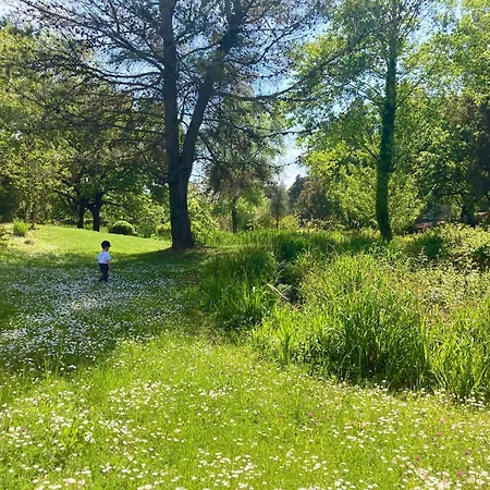 Lägenhet Les Restanques Vue Roses 1070 Rez De Jardin Grimaud